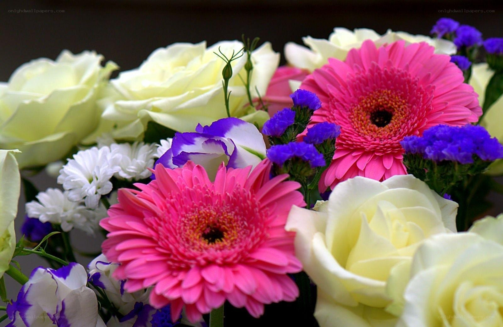 Colorful flower bouquet