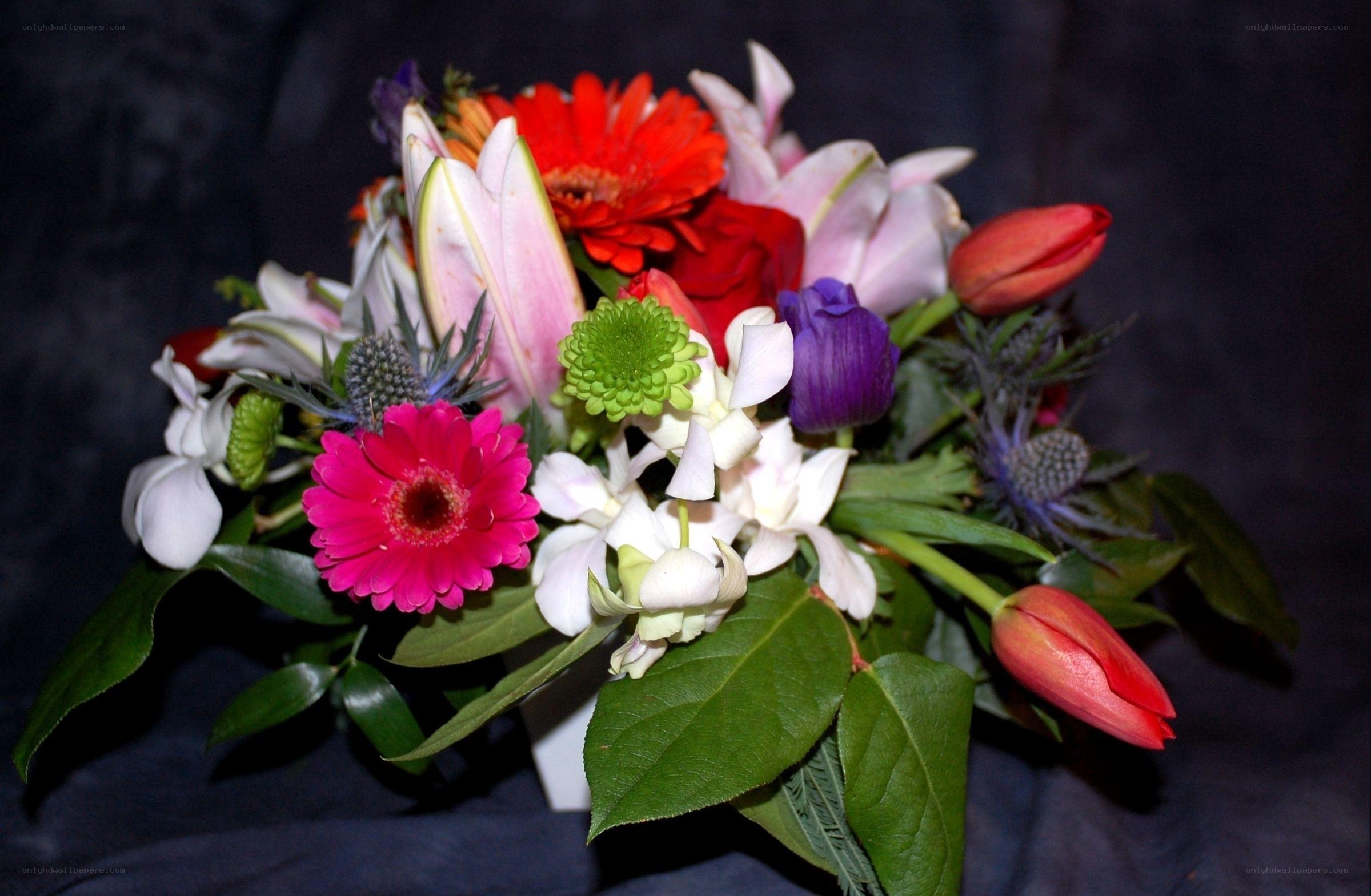 colorful flower bouquet
