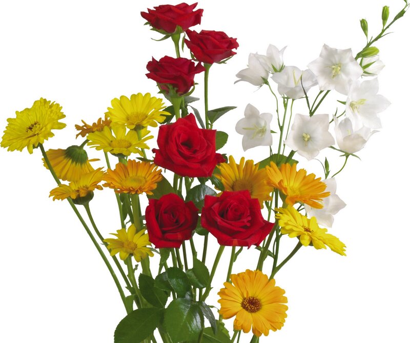 colorful flower bouquet