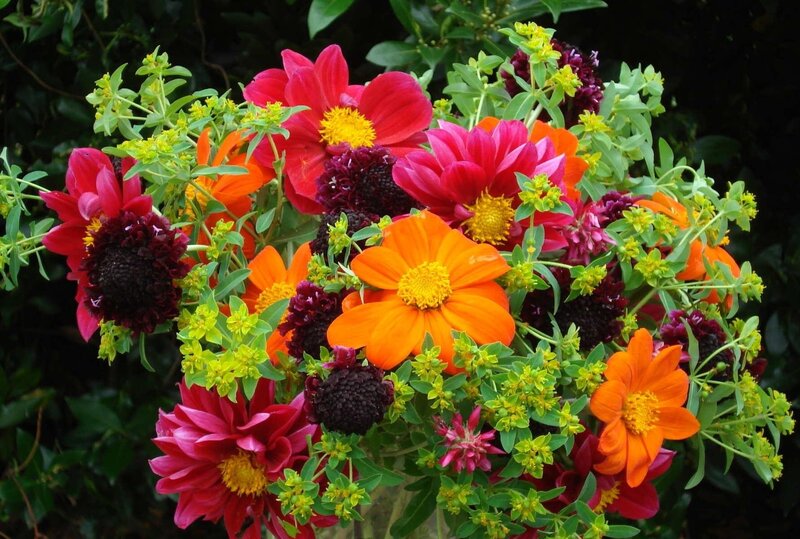 Colorful flower bouquet
