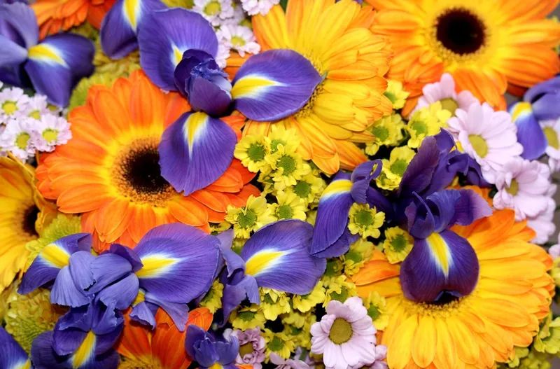 Colorful flower bouquet
