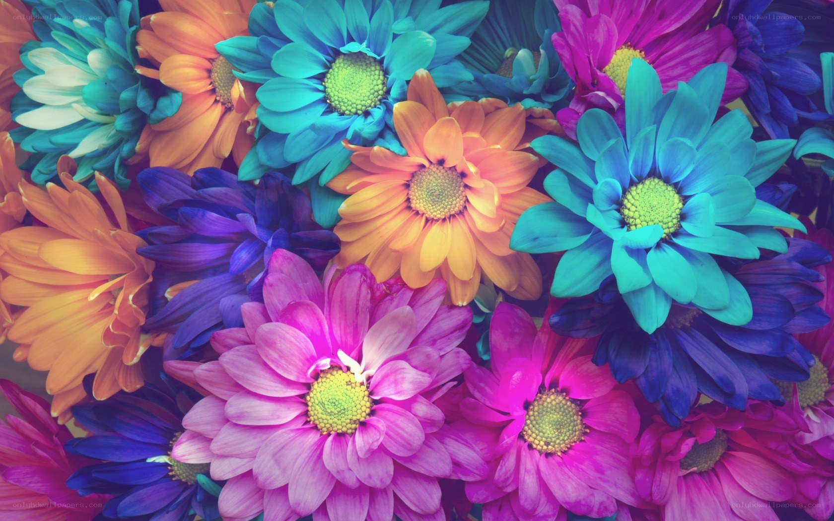 Colorful flower bouquet