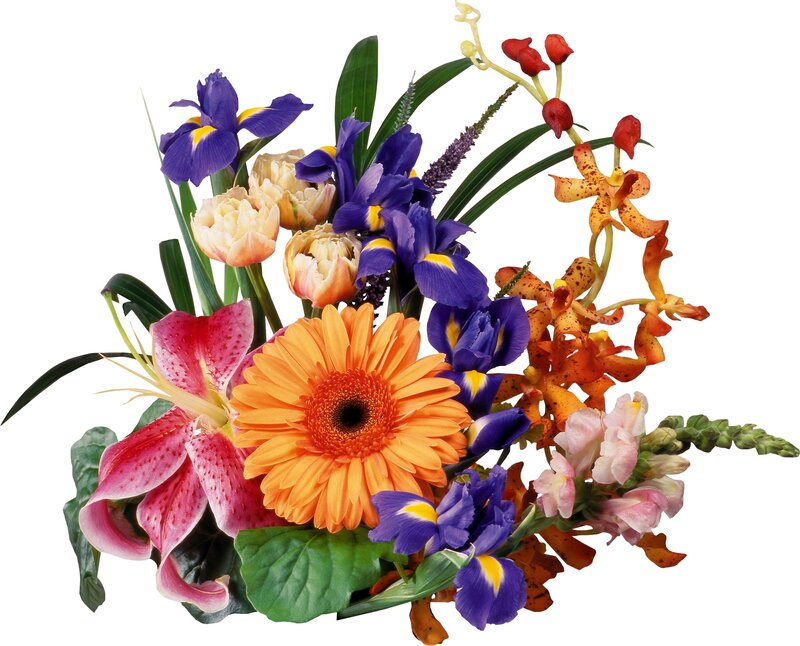 Colorful flower bouquet