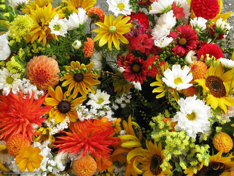 Colorful flower bouquet