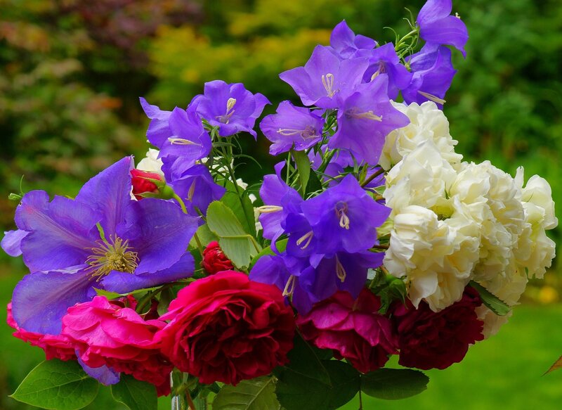 Colorful flower bouquet