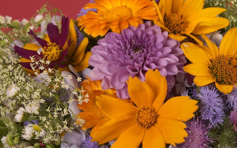 Colorful flower bouquet