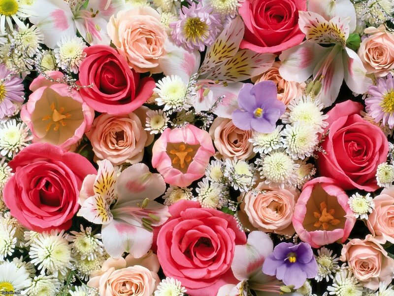 colorful flower bouquet