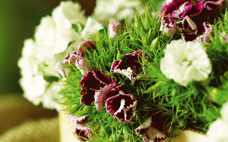 Colorful flower bouquet