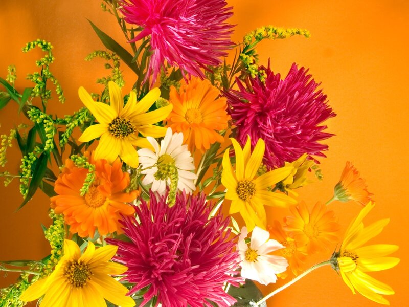 Colorful flower bouquet