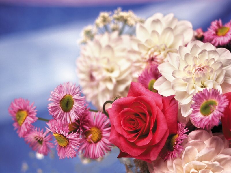 Colorful flower bouquet