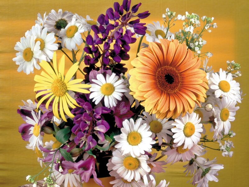 colorful flower bouquet