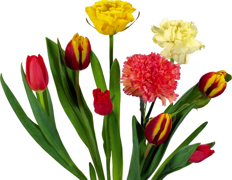Colorful flower bouquet