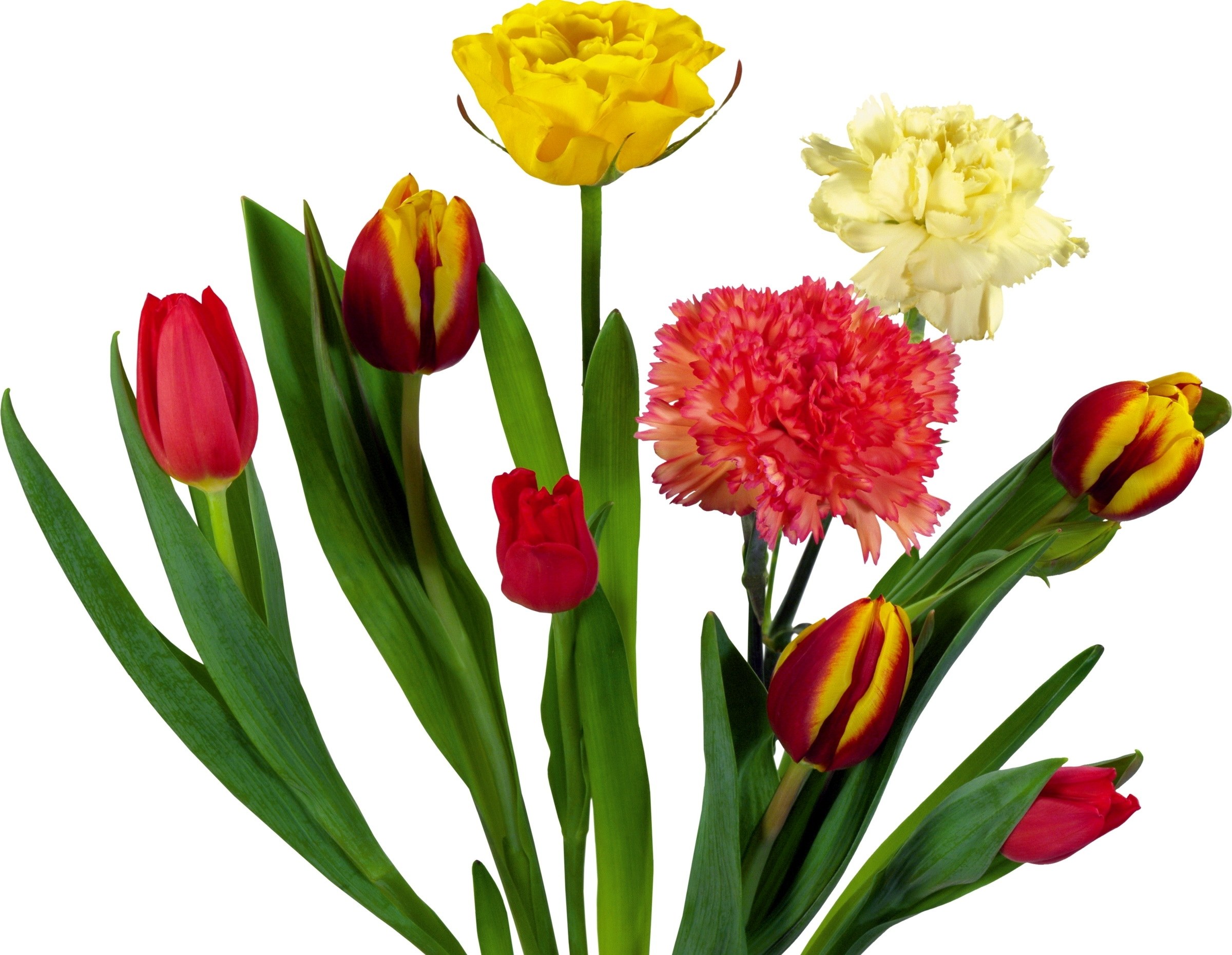 Colorful flower bouquet