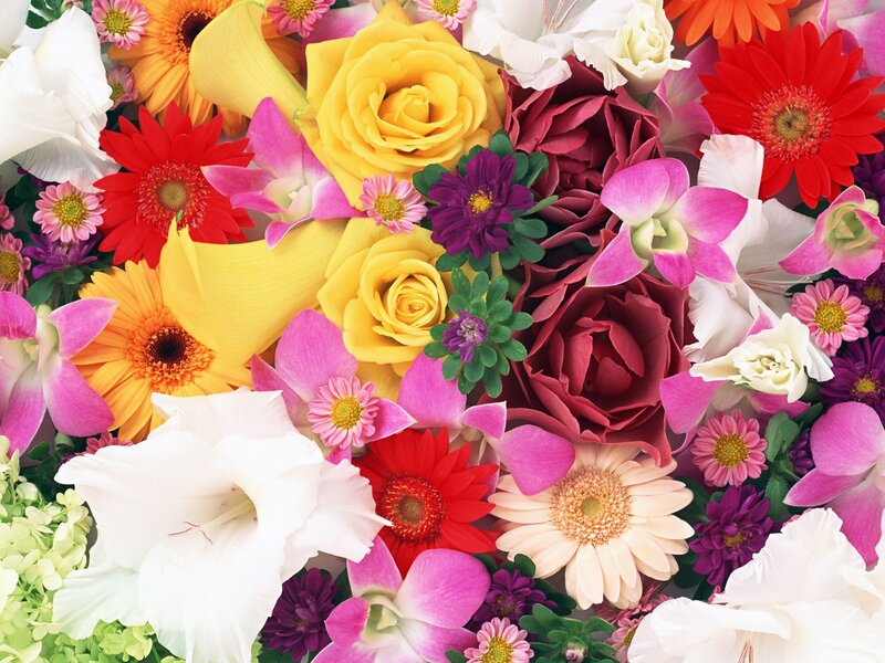 Colorful flower bouquet