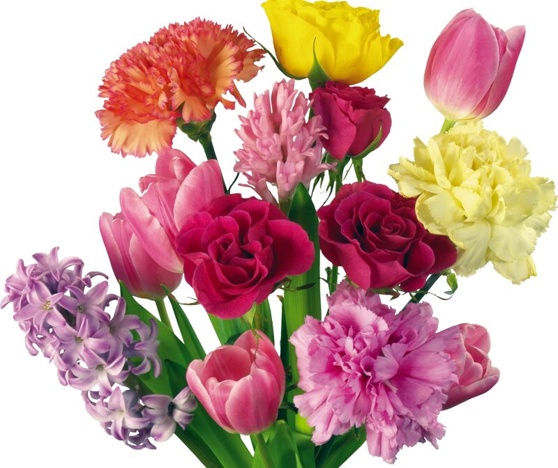 Colorful flower bouquet