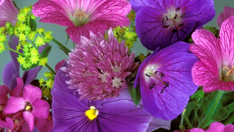 Colorful flower bouquet
