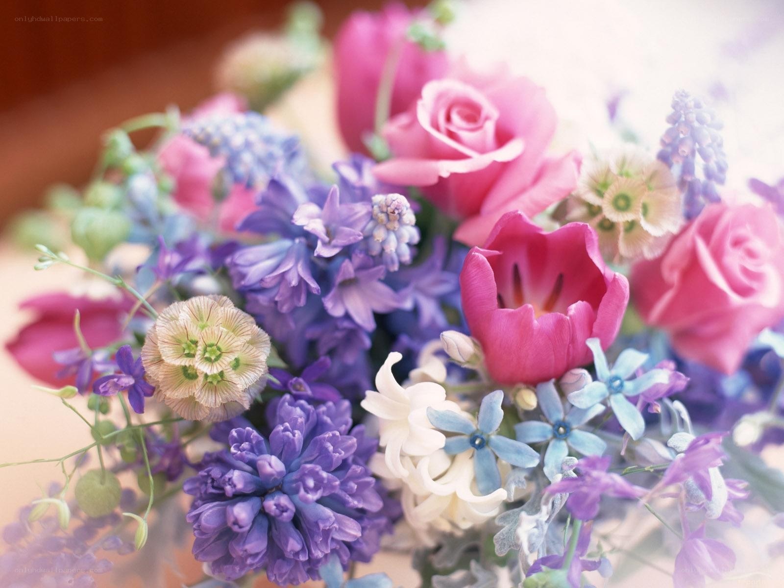 colorful flower bouquet