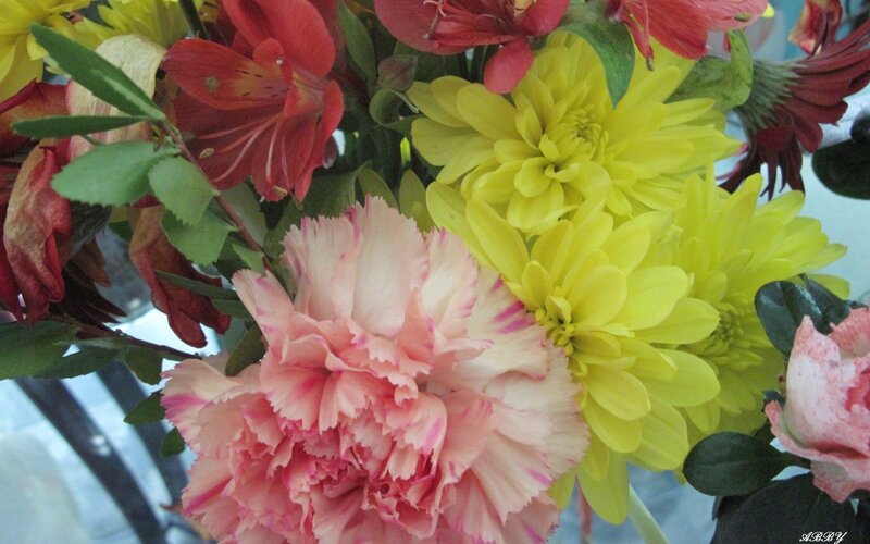 colorful flower bouquet