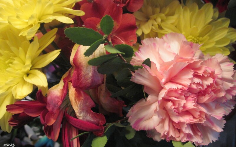 colorful flower bouquet