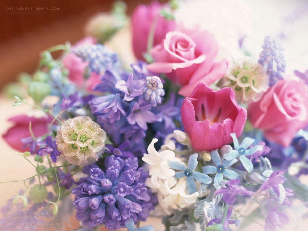 Colorful flower bouquet