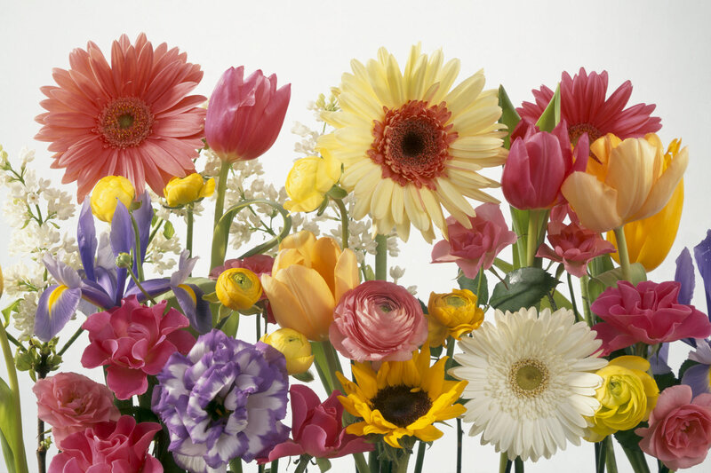 colorful flower bouquet