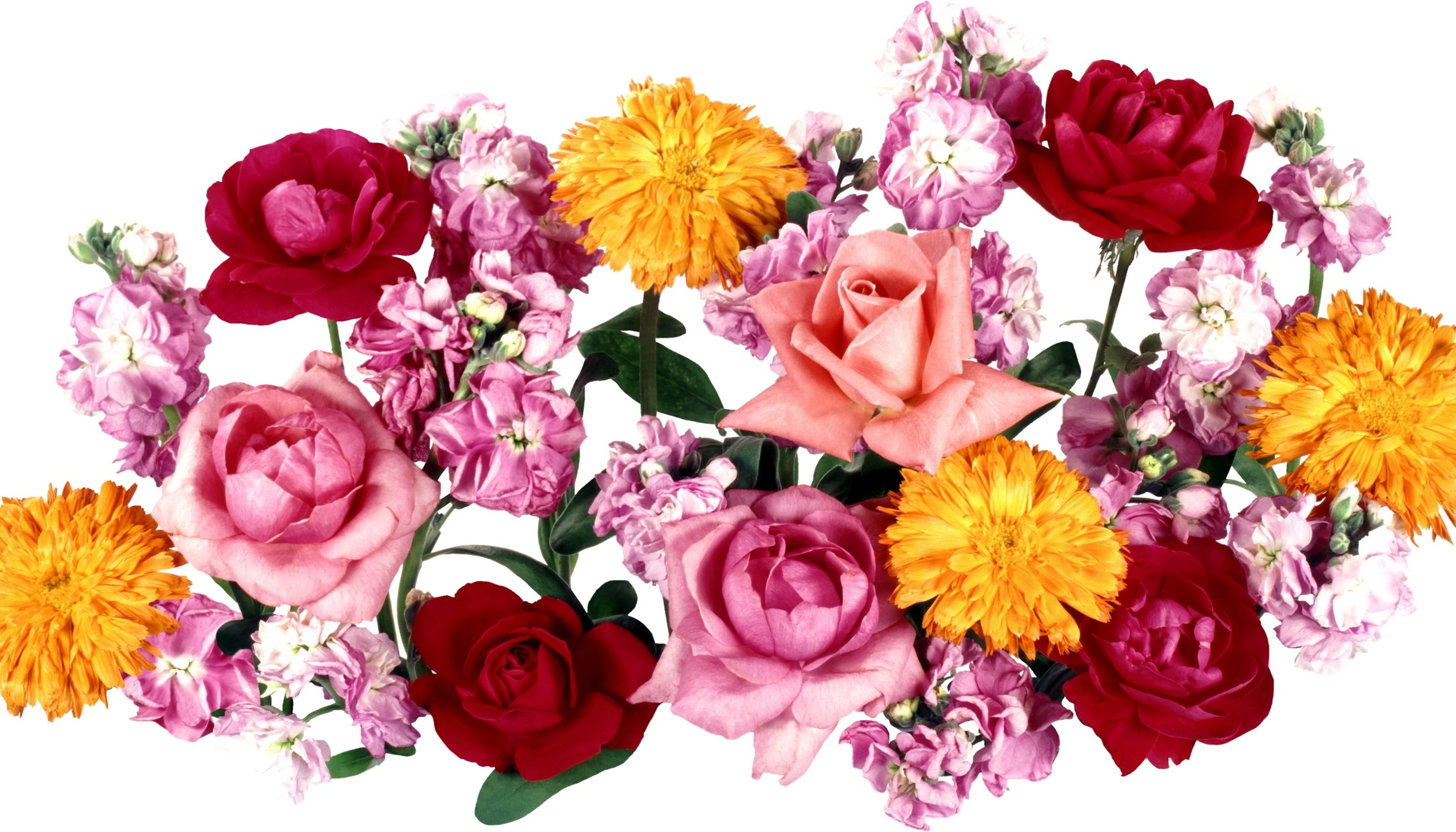 Colorful flower bouquet