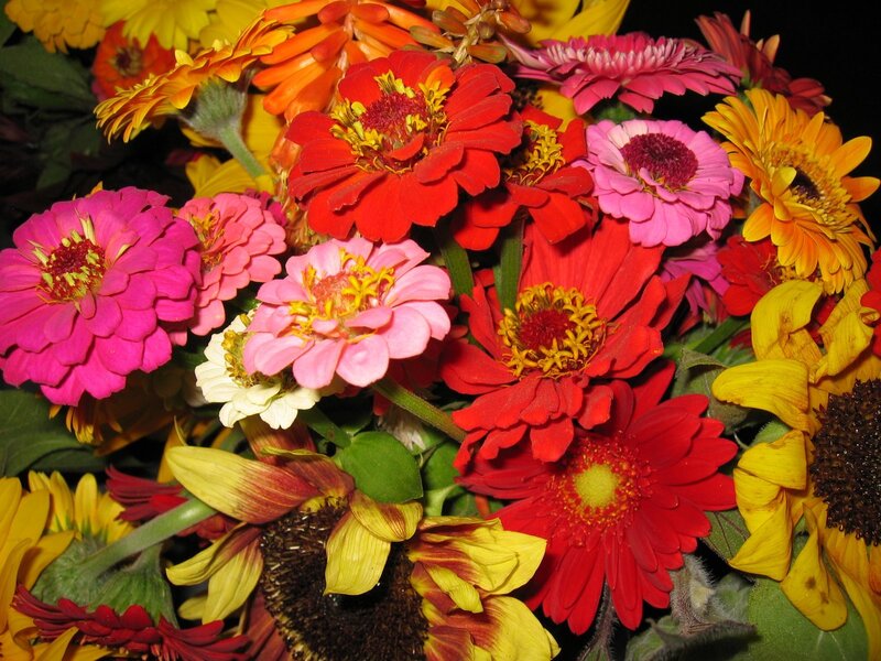 Colorful flower bouquet