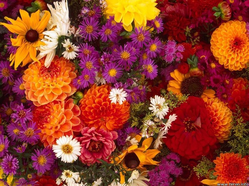 Colorful flower bouquet