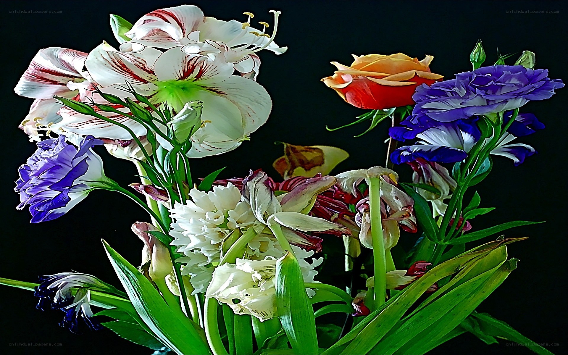 Colorful flower bouquet