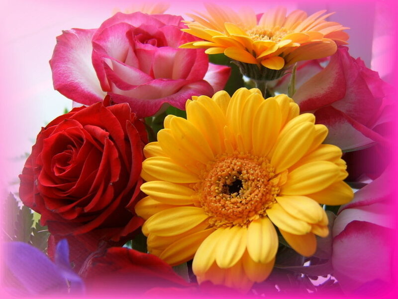 colorful flower bouquet