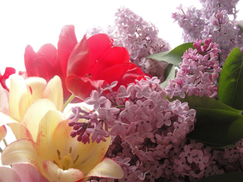 Colorful flower bouquet