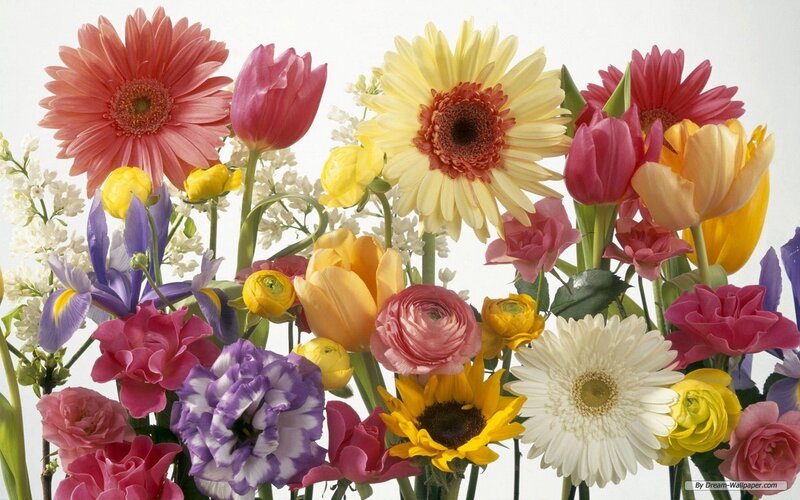 Colorful flower bouquet