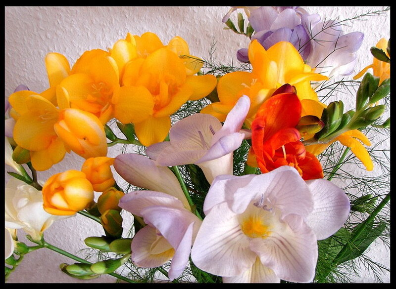 Colorful flower bouquet