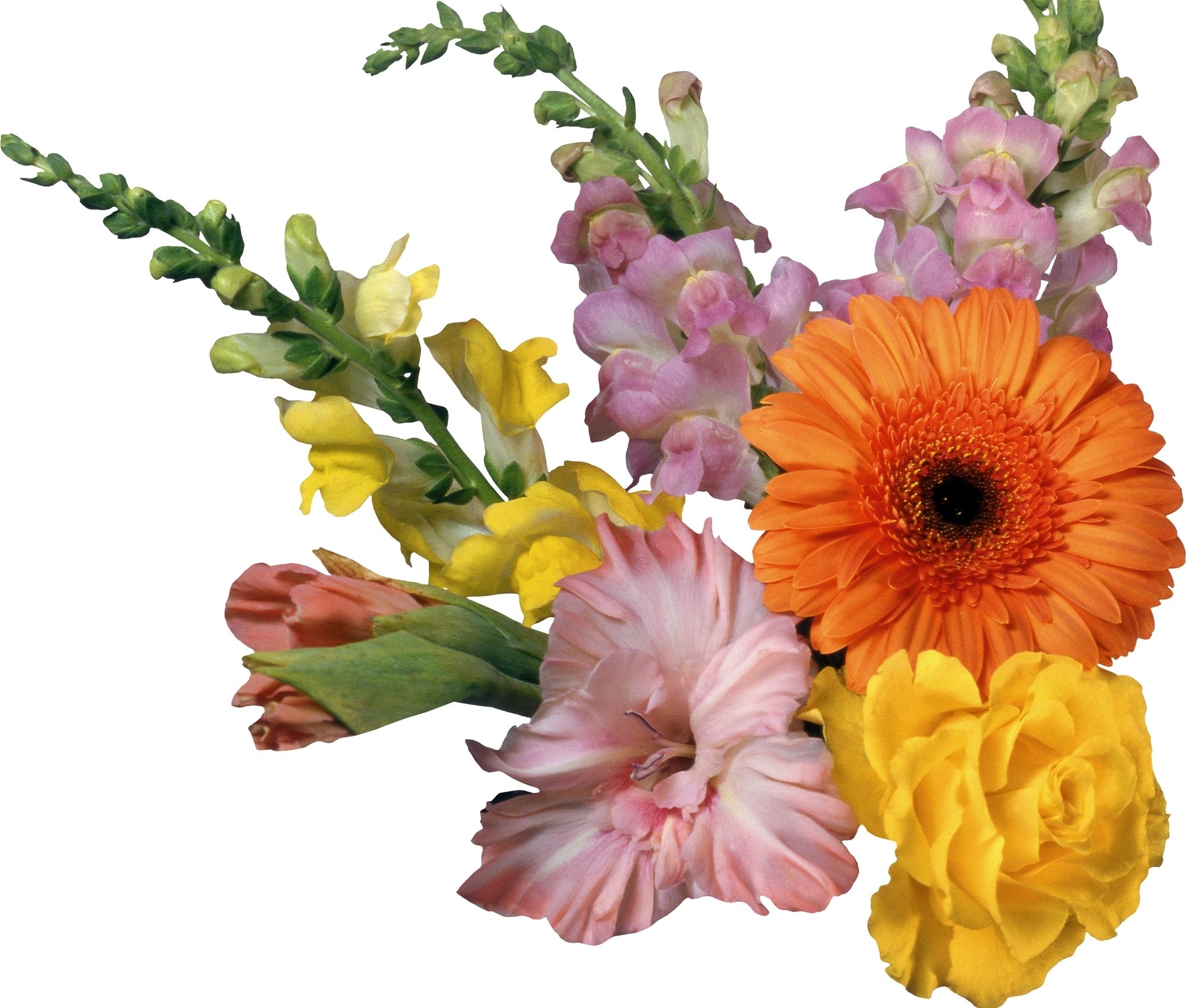 colorful flower bouquet