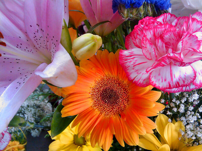 Colorful flower bouquet