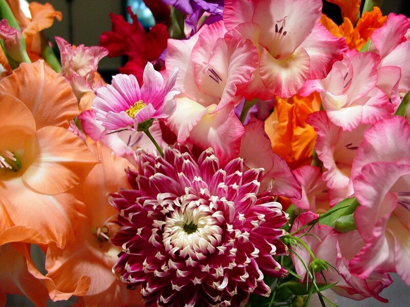 Colorful flower bouquet