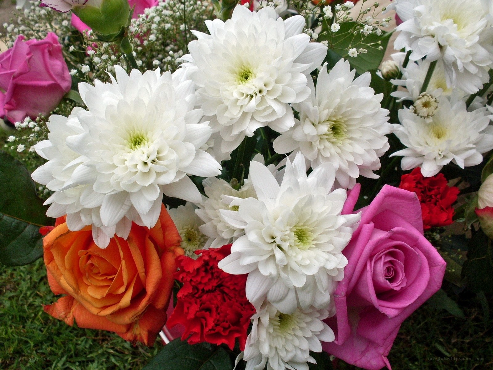 Colorful flower bouquet