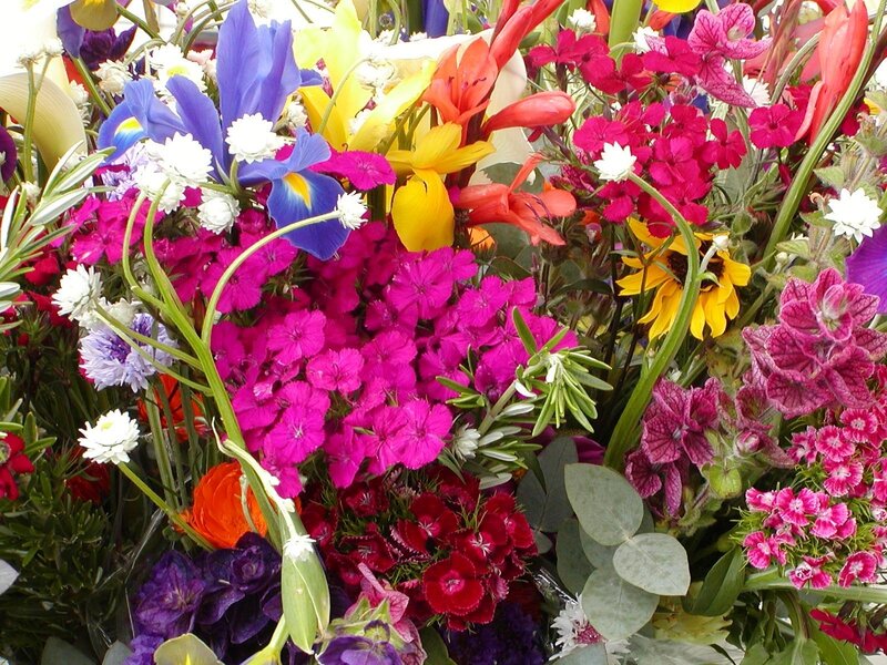 Colorful flower bouquet