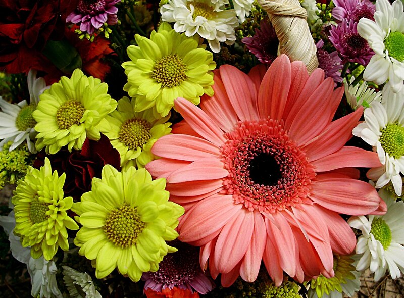 Colorful flower bouquet