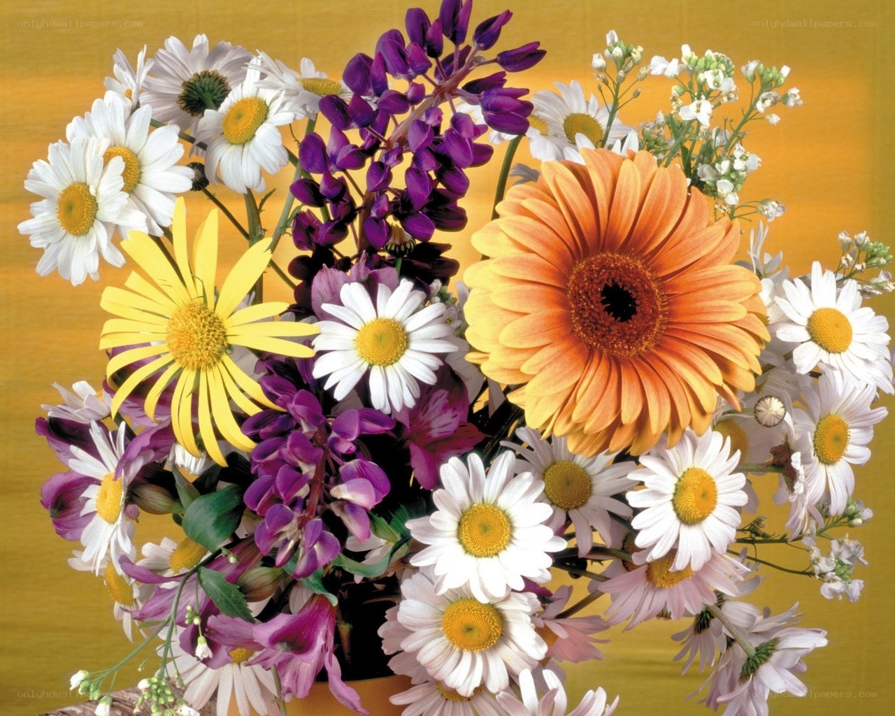 Colorful flower bouquet