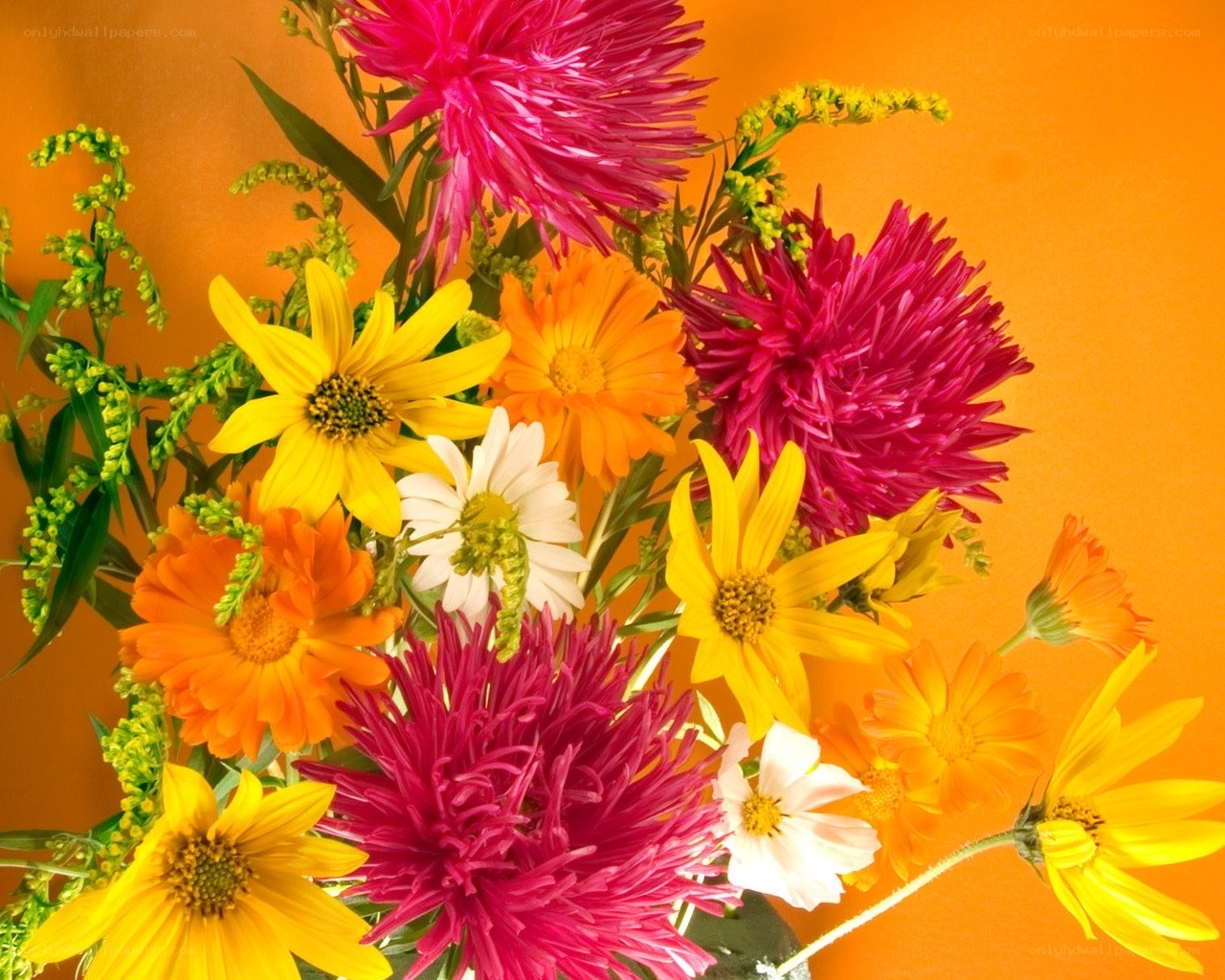 Colorful flower bouquet