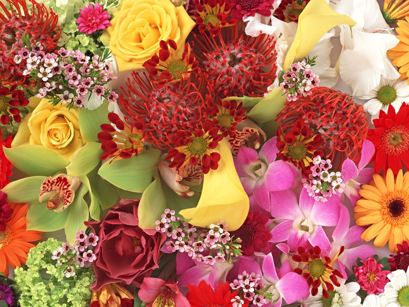 Colorful flower bouquet