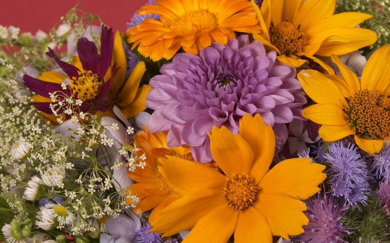 Colorful flower bouquet