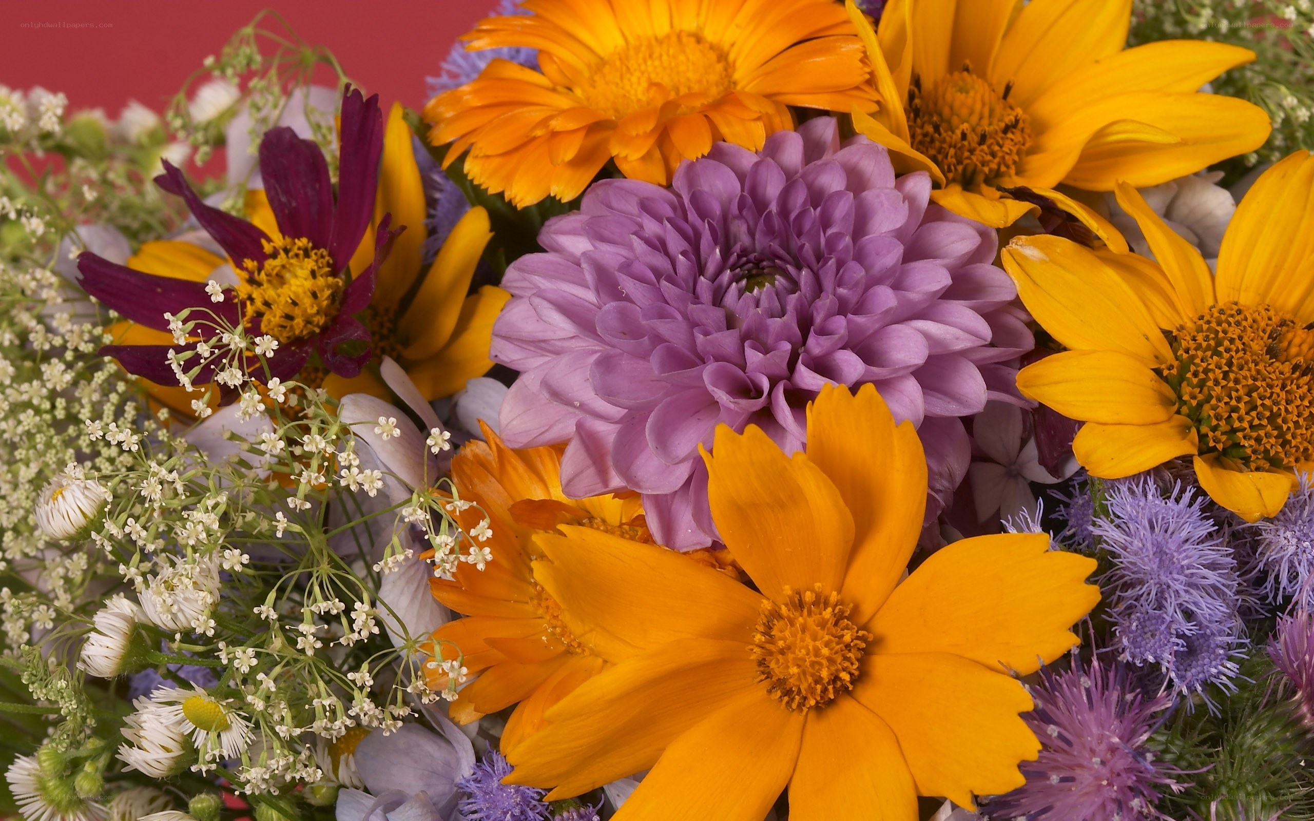 Colorful flower bouquet