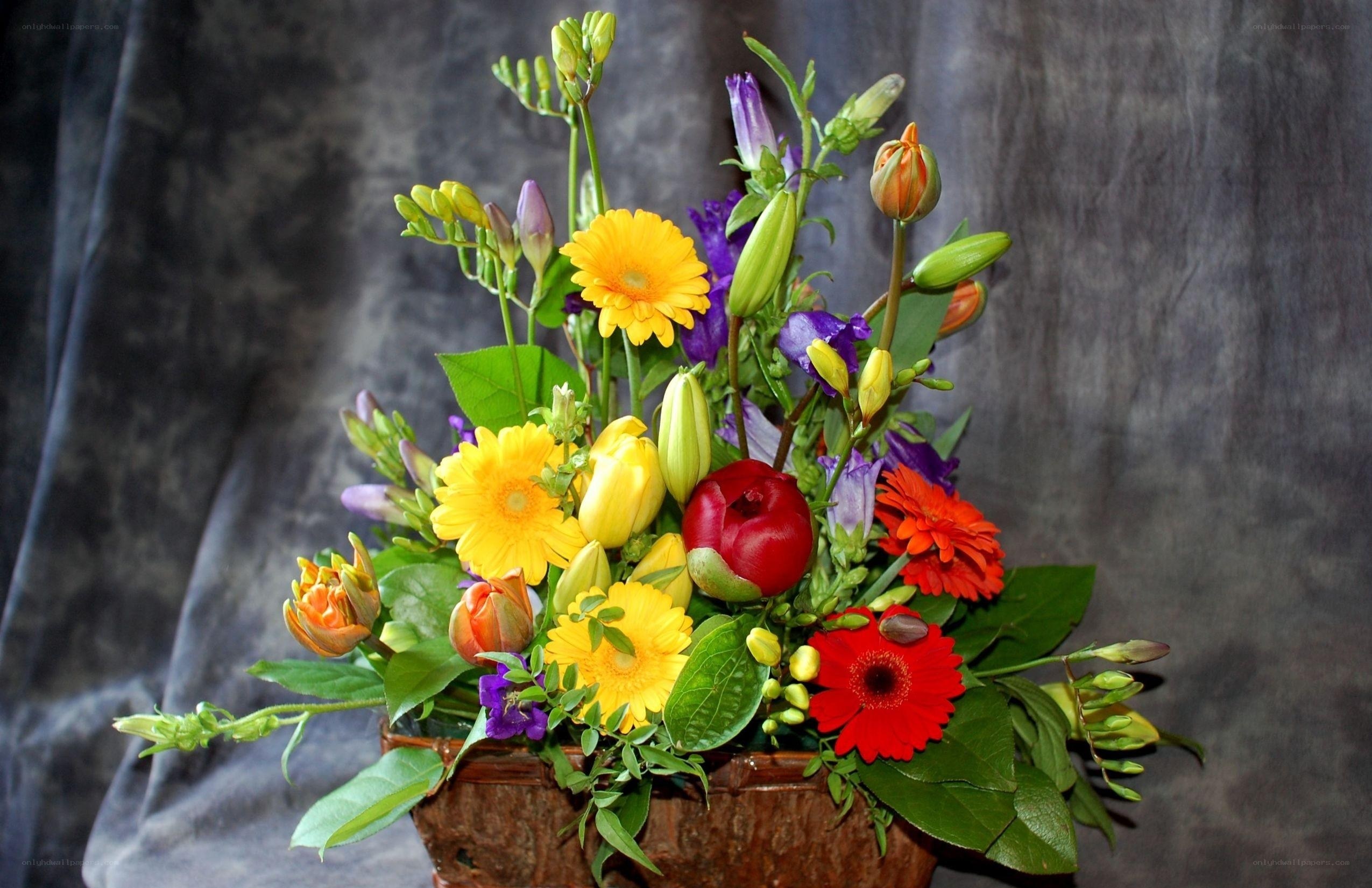 Colorful flower bouquet