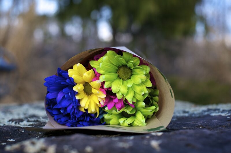 Colorful Flower Bouquet — Blue, Calm, Afternoon, Photograph
