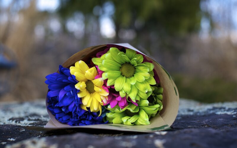 Colorful Flower Bouquet — Blue, Calm, Afternoon