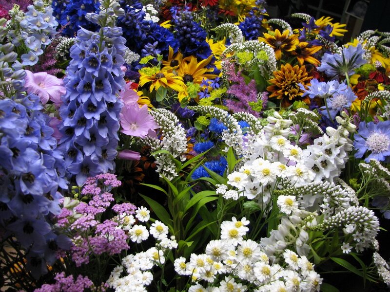 Colorful Flower Bouquet — Blue, Vibrant, Summer, Photograph