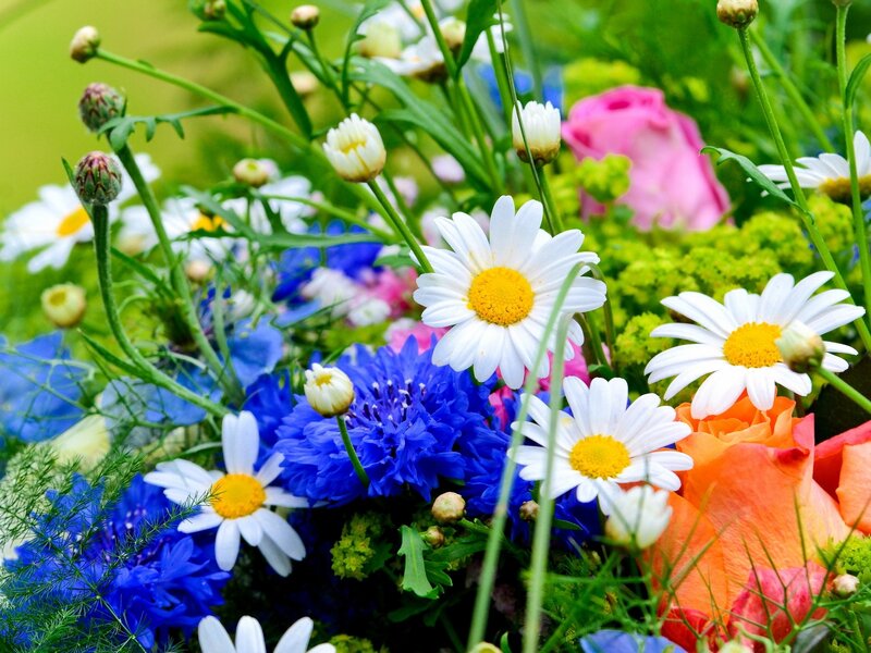 Colorful Flower Bouquet — Blue, Vibrant, Summer