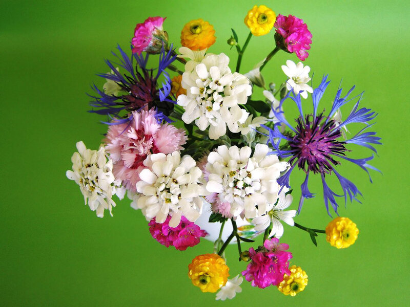 Colorful Flower Bouquet — Green, Bright